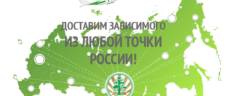 Доставка из любой точки России в реабилитационный центр Кедр